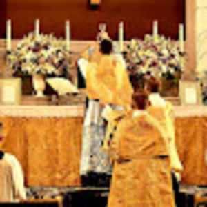 Meet your Posher, Brenna